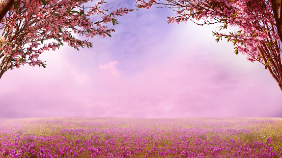 Beautiful landscape with flowers.Blooming wild cherry trees.  Spring background.