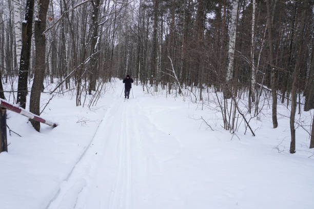 istock man 50 years old skiing in the forest in winter 1470701640