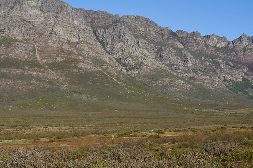 Escarpment rising above the plains and trees of Elandsberg Nature Reserve in the Western Cape, South Africa