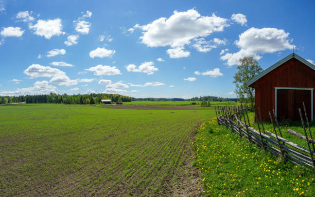 istock Traditional Scandinavian rural landscape 1470704042