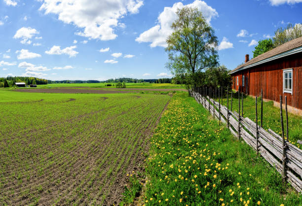 Traditional Scandinavian rural landscape