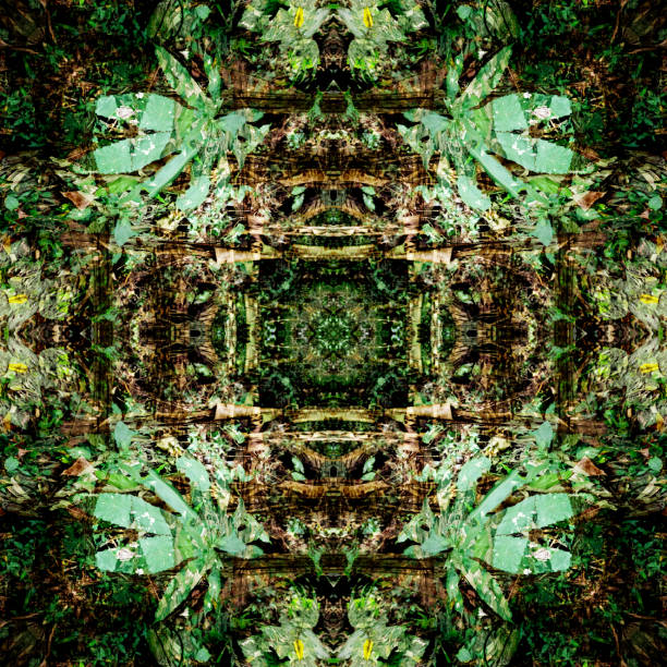 istock Green leaves pattern with drop of water,autumn plant leaf background,seamless pattern 1470705128