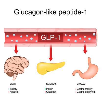 Illustration of Glucagon Like Peptide 1 Dental Health Issues