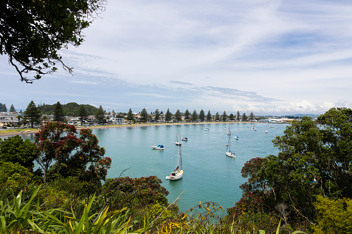 Wide aerial shot of the harbour in the ocean of Tauranga, New Zealand on a sunny day.