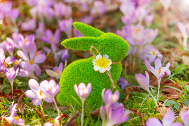 green grass spring rabbit close up with a first crocus flowers in a garden. Easter bunny.