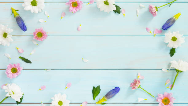 istock Light blue wooden background with delicate flowers 1470714367