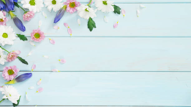 istock Light blue wooden background with delicate flowers 1470714504