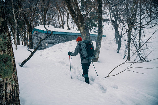Mid adult male walking through a snowy forest to a vacation rental in the mountains of rural Japan