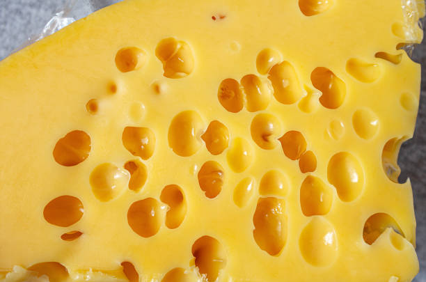 yellow cheese with large holes. - dairy farm dairy product emmental cheese cheese imagens e fotografias de stock