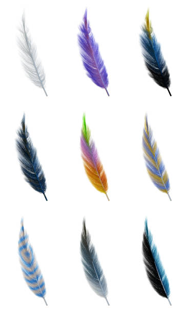 istock Collection set of color soft feathers transparent isolated each element on white background .3d render Illustration. 1470716768
