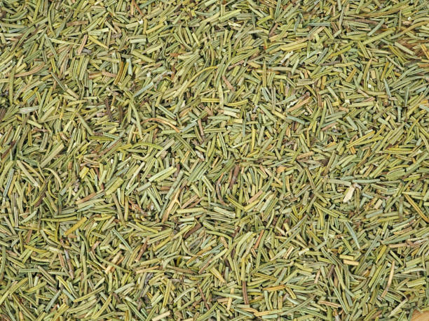 istock Dried rosemary aromatic condiment as background 1470717694