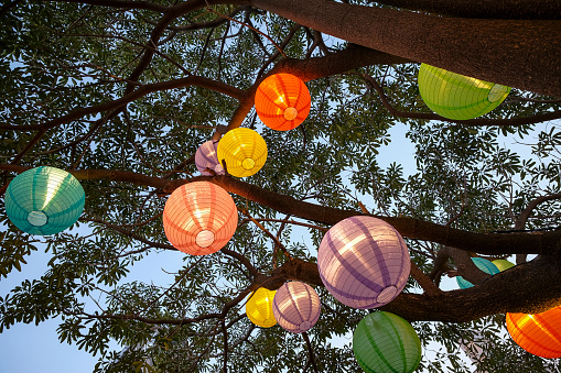 Lit colorful lanterns hanging from a tree in Taichung, Taiwan.