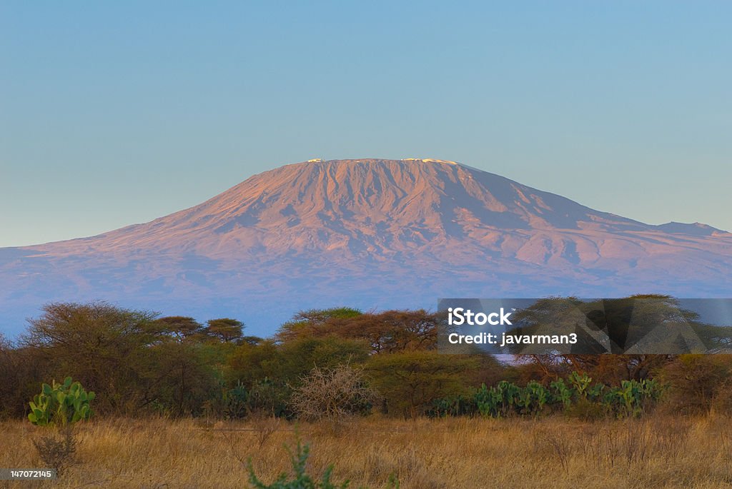 kilimanjaro de montanha ao nascer do sol - Royalty-free Monte Kilimanjaro Foto de stock