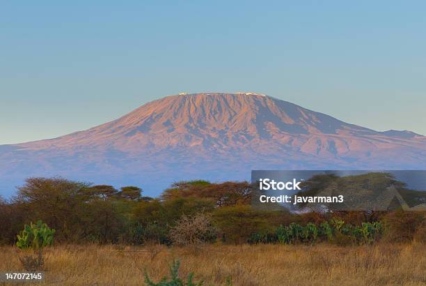 Kilimanjaro De Montanha Ao Nascer Do Sol - Fotografias de stock e mais imagens de Monte Kilimanjaro - Monte Kilimanjaro, Nascer do sol, Parque Nacional de Amboseli
