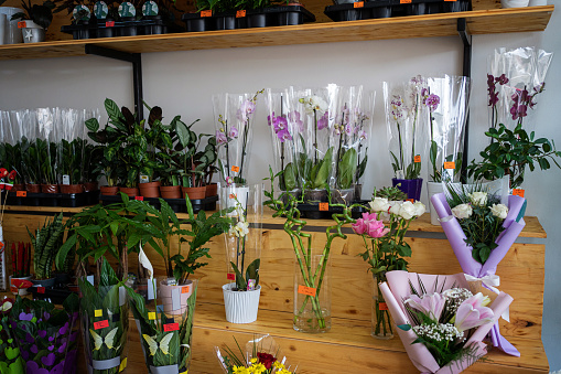 Small flower shop