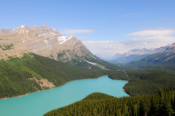 istock Peyto Lake, Banff National Park 147072224