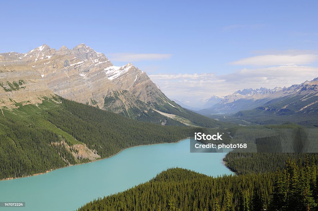 Peyto lago, Parque Nacional de Banff - Foto de stock de Alberta royalty-free