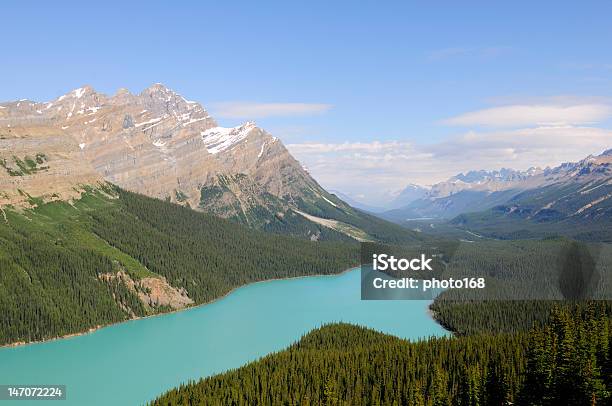 Foto de Peyto Lago Parque Nacional De Banff e mais fotos de stock de Alberta - Alberta, Azul, Azul Turquesa