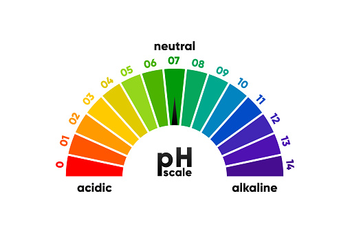 PH scale meter for acidic and alkaline solutions. Acid-base balance scale. Chemical test. Vector illustration