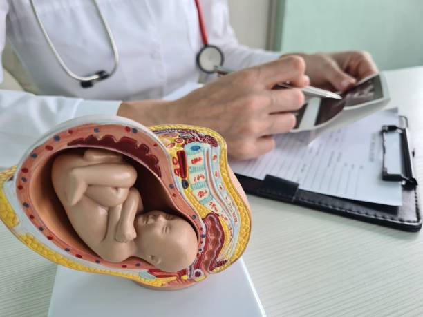 Гормональная поддержка на ранних этапах беременности может повлиять на малыша?