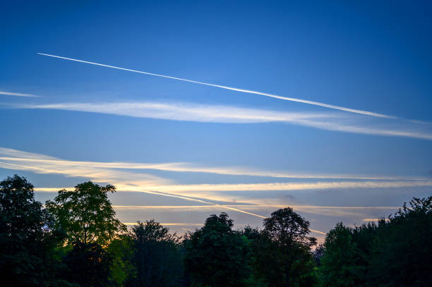 Dark blue sky at dusk with white clouds. An airplane (aeroplane) contrail extends across the sky. Silhouette of trees on the horizon.