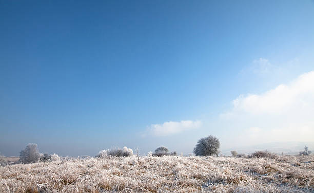 winter landscape stock photo