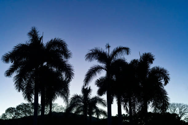 Sunset over Guanacaste, Costa Rica.