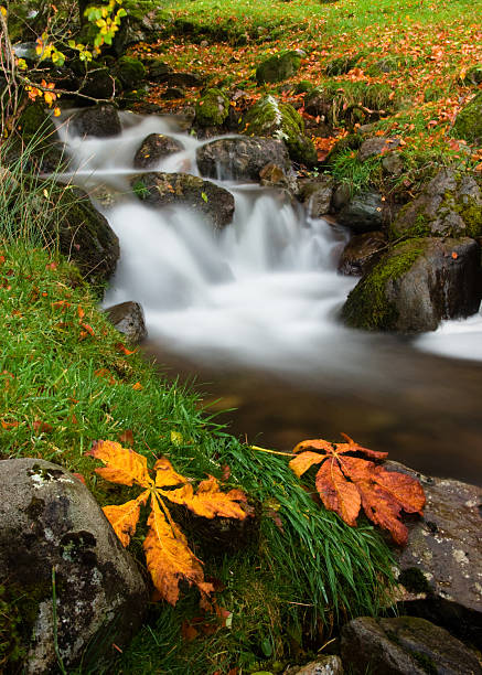 Cтоковое фото Colourfull Водопад