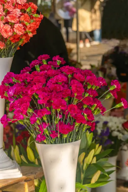 Carnation flowers bouquet arrangement