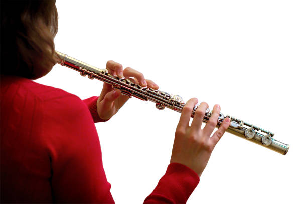 la femme tient une grande flûte de concert (à mains rapprochées), isolée sur fond blanc. musicien professionnel à la répétition - flûte traversière photos et images de collection