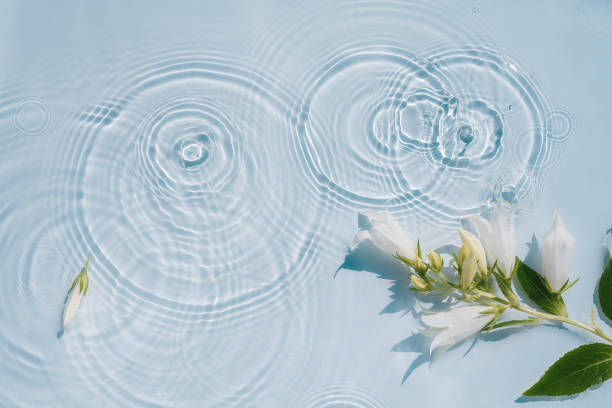 istock Natural organic water surface background with spring flowers 1470735750