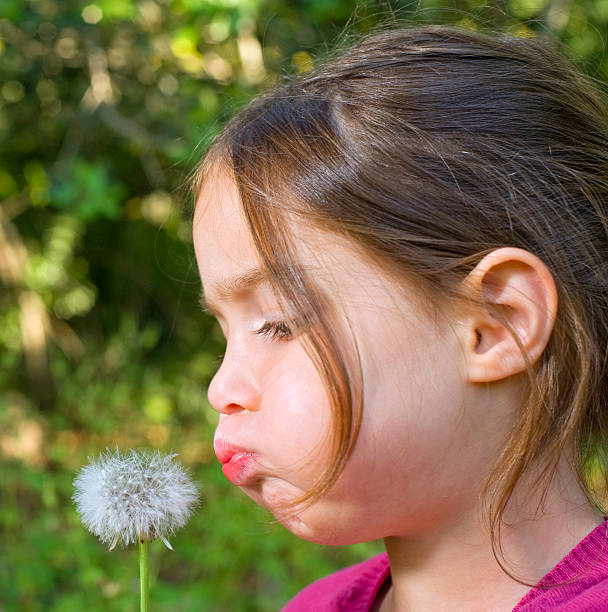 istock girl blowing a dandelion 147073812