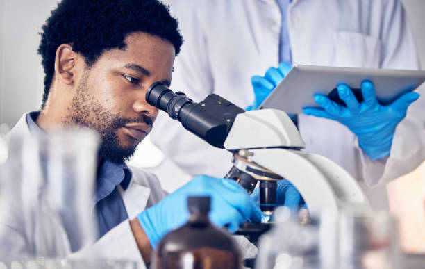 istock Black man, scientist and microscope with science research in laboratory, data analysis and expert with scientific or medical innovation. Phd doctor, face and biotechnology, chemistry and study in lab 1470739505