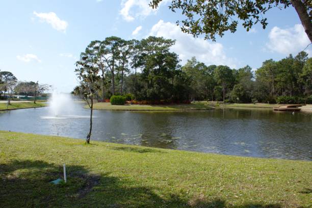 istock Scenic Alligator Pond at a Botanical Garden. 1470740154
