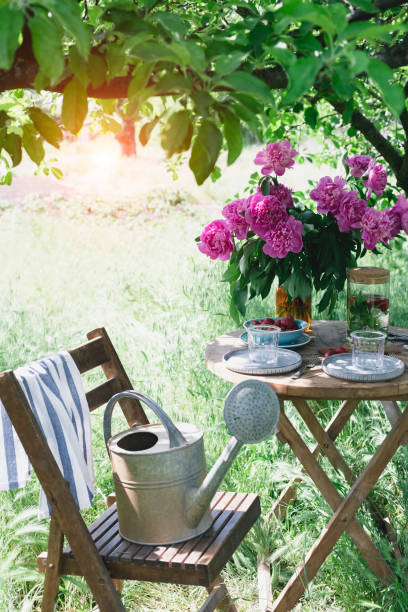 istock garden and tea party 1470741811
