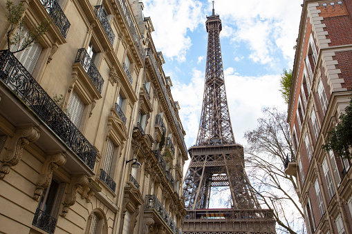 beautiful background from the facades of Parisian buildings and the eiffel tower in the background
