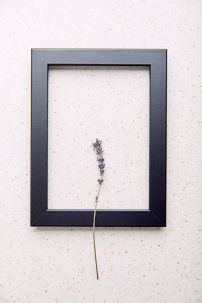 istock Empty interior black wall frame mockup, template with lavender. Aesthetic minimalist eco-friendly concept background 1470742249