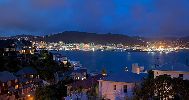 istock Wellington Panorama at Night 147074487