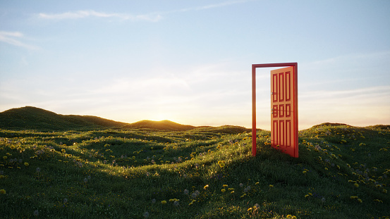 An abstract opening door to the freedom on grassy field on sunny summer day. (3d render)