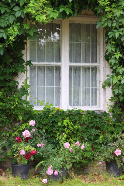 istock Cottage Window and Roses 1470746881