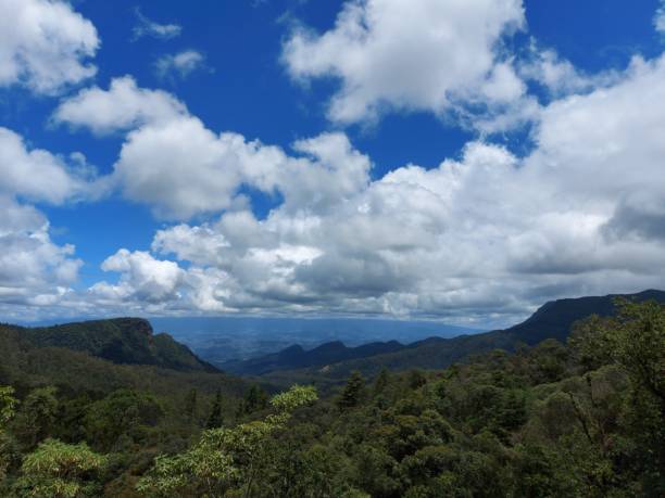 istock View of forest and clouds 1470746916