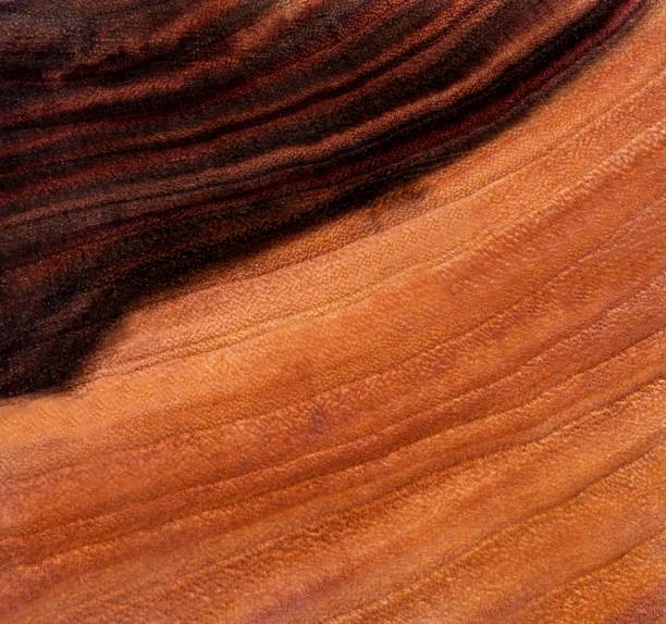 istock Beautiful wood grain. Wood background. Wood grain pattern texture backgrounds 1470749535