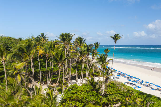 istock Crane Beach in Barbados 1470749675