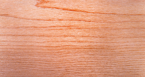 Beautiful wood grain. Wood background. Wood grain pattern texture backgrounds