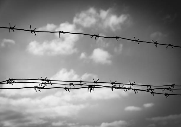 istock Barbed wire black and white grunge version 1470752674