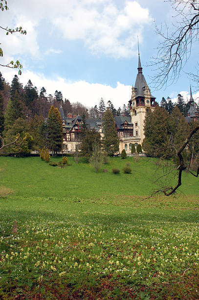istock Peles Castle, Romania 147075289