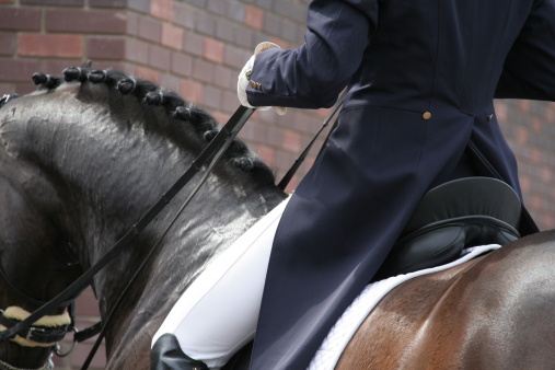 A beautiful moment, when the rider stroking on the horse's neck