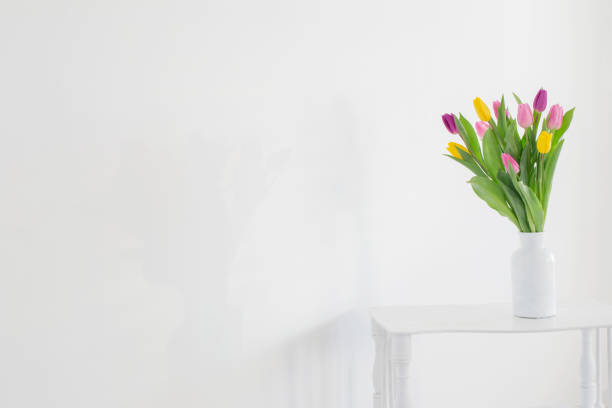istock tulips in white vase on wooden shelf on white background 1470753217