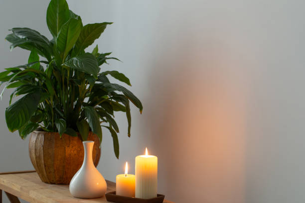 istock white home interior with houseplants on wooden shelf 1470753404