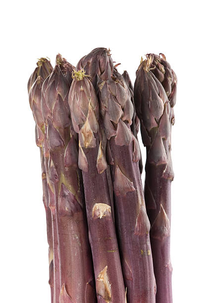 Purple Asparagus Spears Vertical stock photo